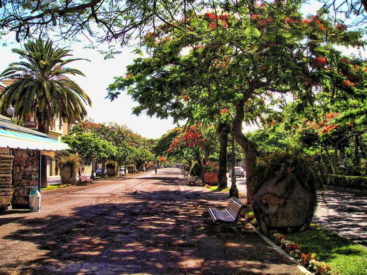 Flores & Campos Guest House Santa Cruz de Tenerife Exteriör bild